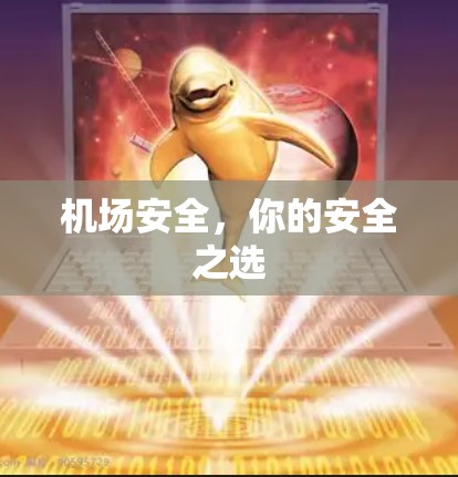 机场安全,你的安全之选 机场安全,你的安全之选