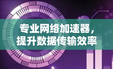 专业网络加速器,提升数据传输效率的关键 专业网络加速器,提升数据传输效率的关键