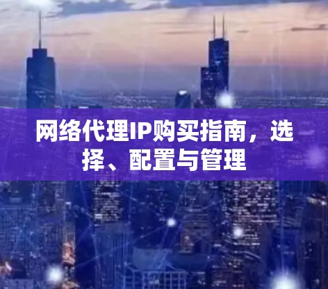 网络代理IP购买指南,选择、配置与管理 网络代理IP购买指南,选择、配置与管理