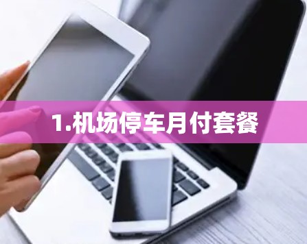 1.机场停车月付套餐 1.机场停车月付套餐