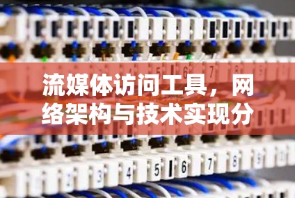 流媒体访问工具,网络架构与技术实现分析 流媒体访问工具,网络架构与技术实现分析