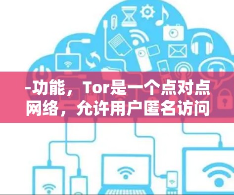 -功能，Tor是一个点对点网络，允许用户匿名访问互联网。它通过多层路由使得流量难以追踪，适合匿名浏览和隐私保护