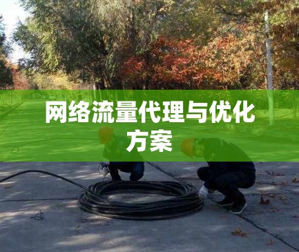 网络流量代理与优化方案