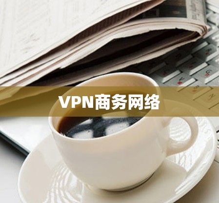 VPN商务网络 VPN商务网络