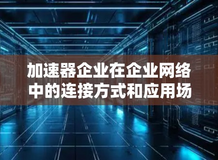 加速器企业在企业网络中的连接方式和应用场景可以从以下几个方面进行分析 加速器企业在企业网络中的连接方式和应用场景可以从以下几个方面进行分析