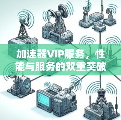 加速器VIP服务,性能与服务的双重突破 加速器VIP服务,性能与服务的双重突破