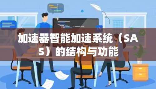 加速器智能加速系统(SAS)的结构与功能 加速器智能加速系统(SAS)的结构与功能