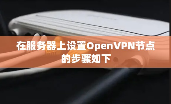 在服务器上设置OpenVPN节点的步骤如下 在服务器上设置OpenVPN节点的步骤如下